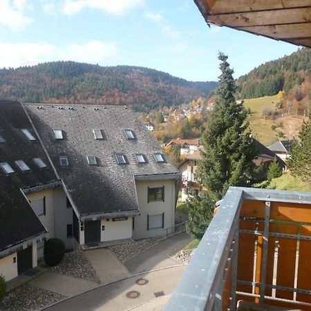 Haus Herzogenhorn - Hornberg تودموس المظهر الخارجي الصورة